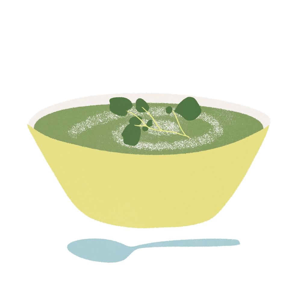 Watercress soup illustration